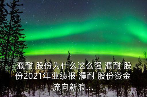  濮耐 股份為什么這么強(qiáng) 濮耐 股份2021年業(yè)績報(bào) 濮耐 股份資金流向新浪...