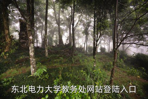 東北電力大學(xué)教務(wù)處網(wǎng)站登陸入口