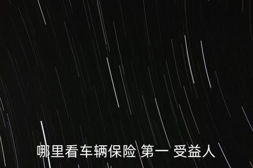 哪里看車輛保險(xiǎn) 第一 受益人