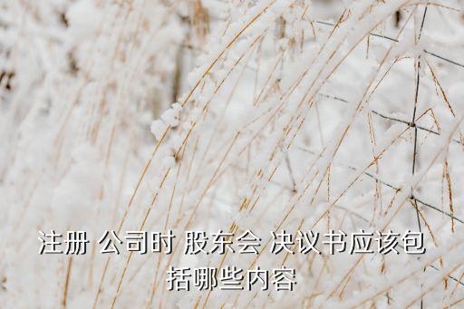 注冊(cè) 公司時(shí) 股東會(huì) 決議書(shū)應(yīng)該包括哪些內(nèi)容