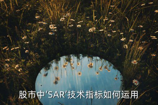 股票中的sar線,股票sar是什么意思圖解