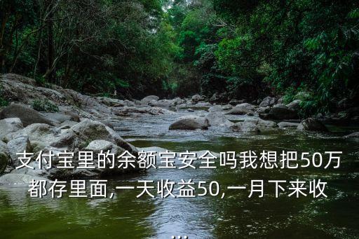 支付寶里的余額寶安全嗎我想把50萬都存里面,一天收益50,一月下來收...