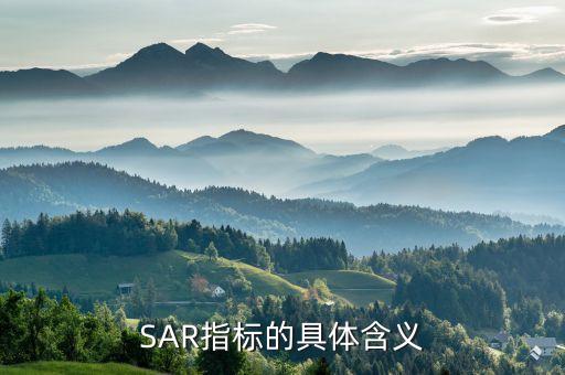 SAR指標的具體含義