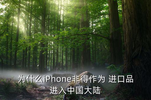 為什么iPhone非得作為 進(jìn)口品進(jìn)入中國大陸