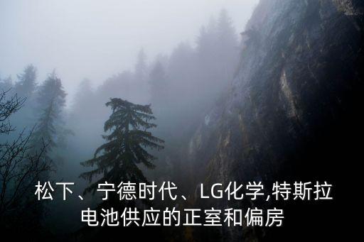  松下、寧德時(shí)代、LG化學(xué),特斯拉電池供應(yīng)的正室和偏房