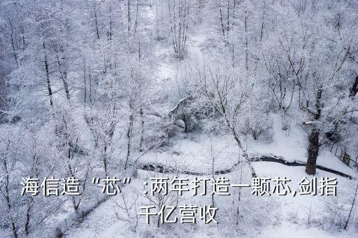 海信造“芯”:兩年打造一顆芯,劍指千億營(yíng)收