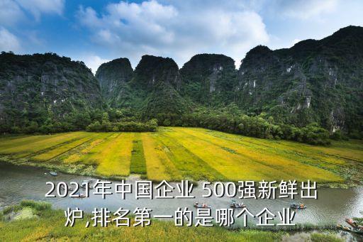 中國(guó)500強(qiáng)企業(yè)家俱樂(lè)部,中國(guó)HRO企業(yè)家俱樂(lè)部