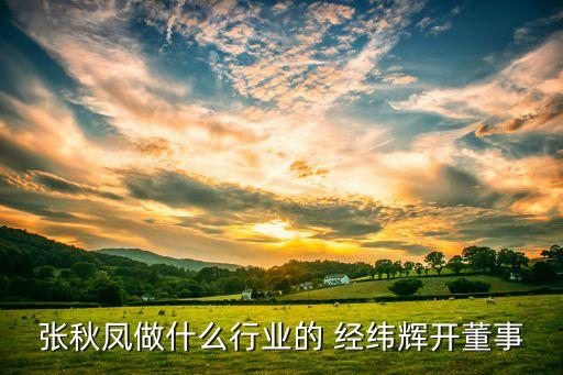 張秋鳳做什么行業(yè)的 經(jīng)緯輝開董事