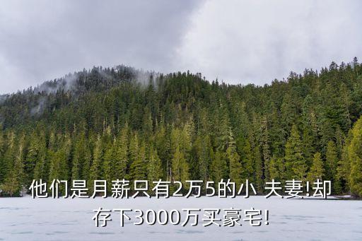 他們是月薪只有2萬5的小 夫妻!卻存下3000萬買豪宅!