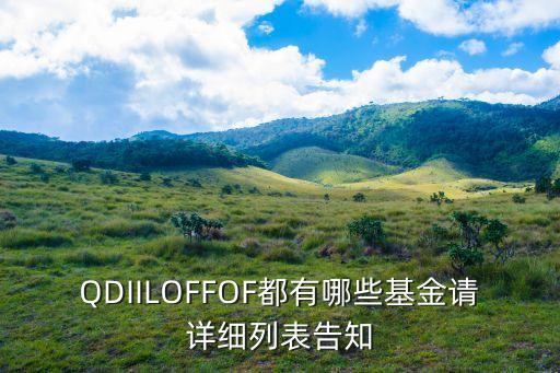 QDIILOFFOF都有哪些基金請詳細(xì)列表告知