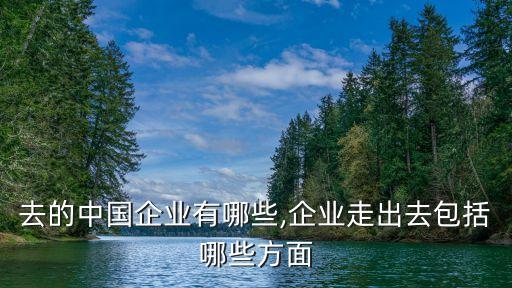 走出去的中國企業(yè)有哪些,企業(yè)走出去包括哪些方面