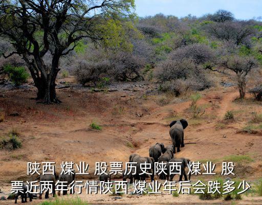 陜西 煤業(yè) 股票歷史陜西 煤業(yè) 股票近兩年行情陜西 煤業(yè)年后會跌多少