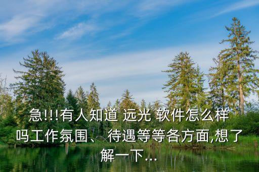 急!!!有人知道 遠光 軟件怎么樣嗎工作氛圍、 待遇等等各方面,想了解一下...