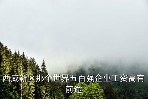 西咸新區(qū)那個(gè)世界五百?gòu)?qiáng)企業(yè)工資高有前途