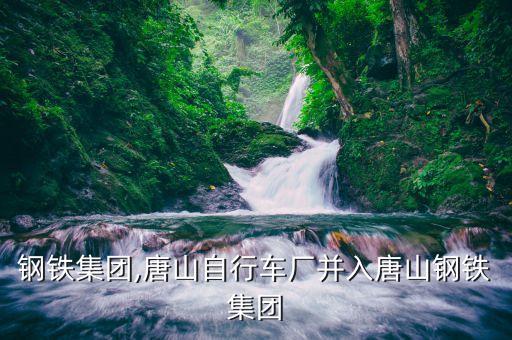 唐山鋼鐵集團,唐山自行車廠并入唐山鋼鐵集團