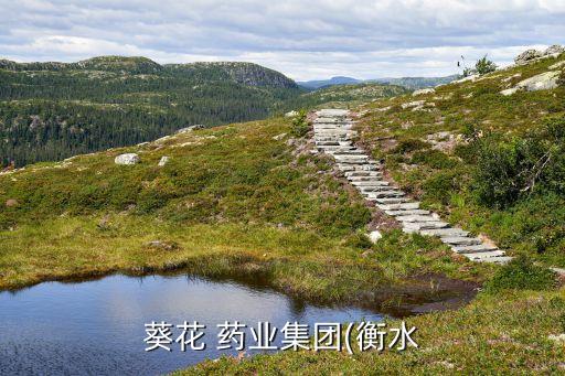 葵花 藥業(yè)集團(衡水