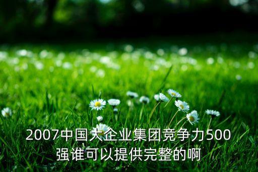 2007中國大企業(yè)集團(tuán)競爭力500強(qiáng)誰可以提供完整的啊