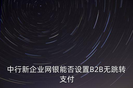 中國銀行b2b支付