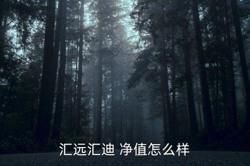 匯遠(yuǎn)匯迪 凈值怎么樣