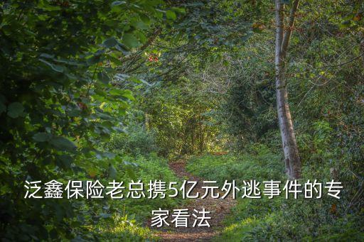 上海泛鑫保險(xiǎn)代理公司