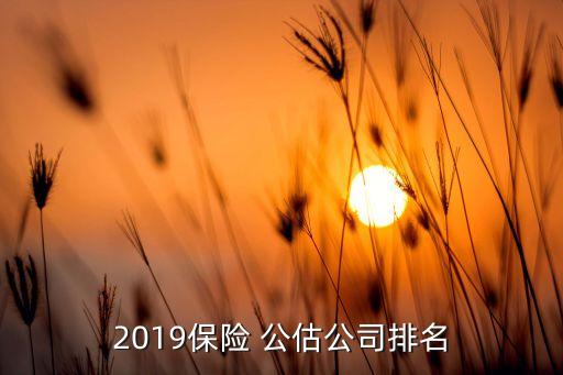 2019保險(xiǎn) 公估公司排名