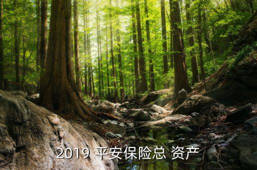 2019 平安保險(xiǎn)總 資產(chǎn)