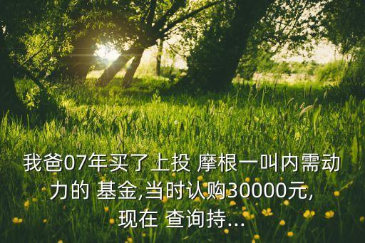 我爸07年買了上投 摩根一叫內(nèi)需動力的 基金,當時認購30000元,現(xiàn)在 查詢持...