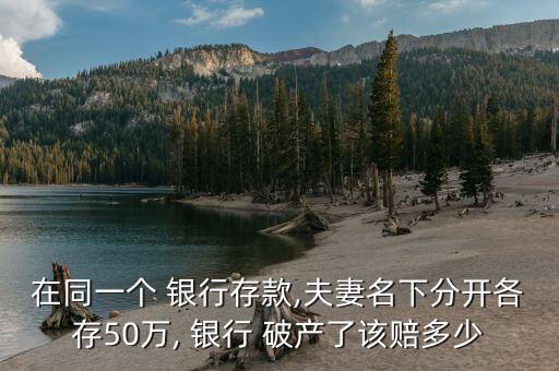 在同一個(gè) 銀行存款,夫妻名下分開各存50萬, 銀行 破產(chǎn)了該賠多少