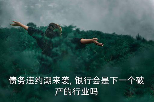 債務違約潮來襲, 銀行會是下一個破產(chǎn)的行業(yè)嗎