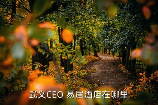 武義CEO 易居酒店在哪里