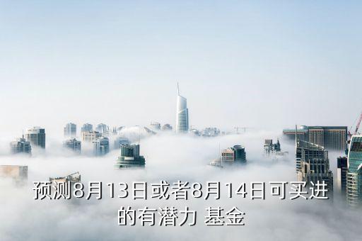 預(yù)測8月13日或者8月14日可買進的有潛力 基金