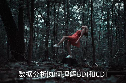 數(shù)據(jù)分析|如何理解BDI和CDI